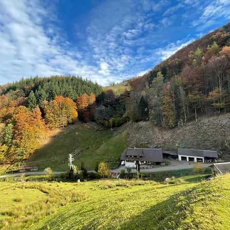 Bauernhaus Im Muenstertal Bagian luar foto