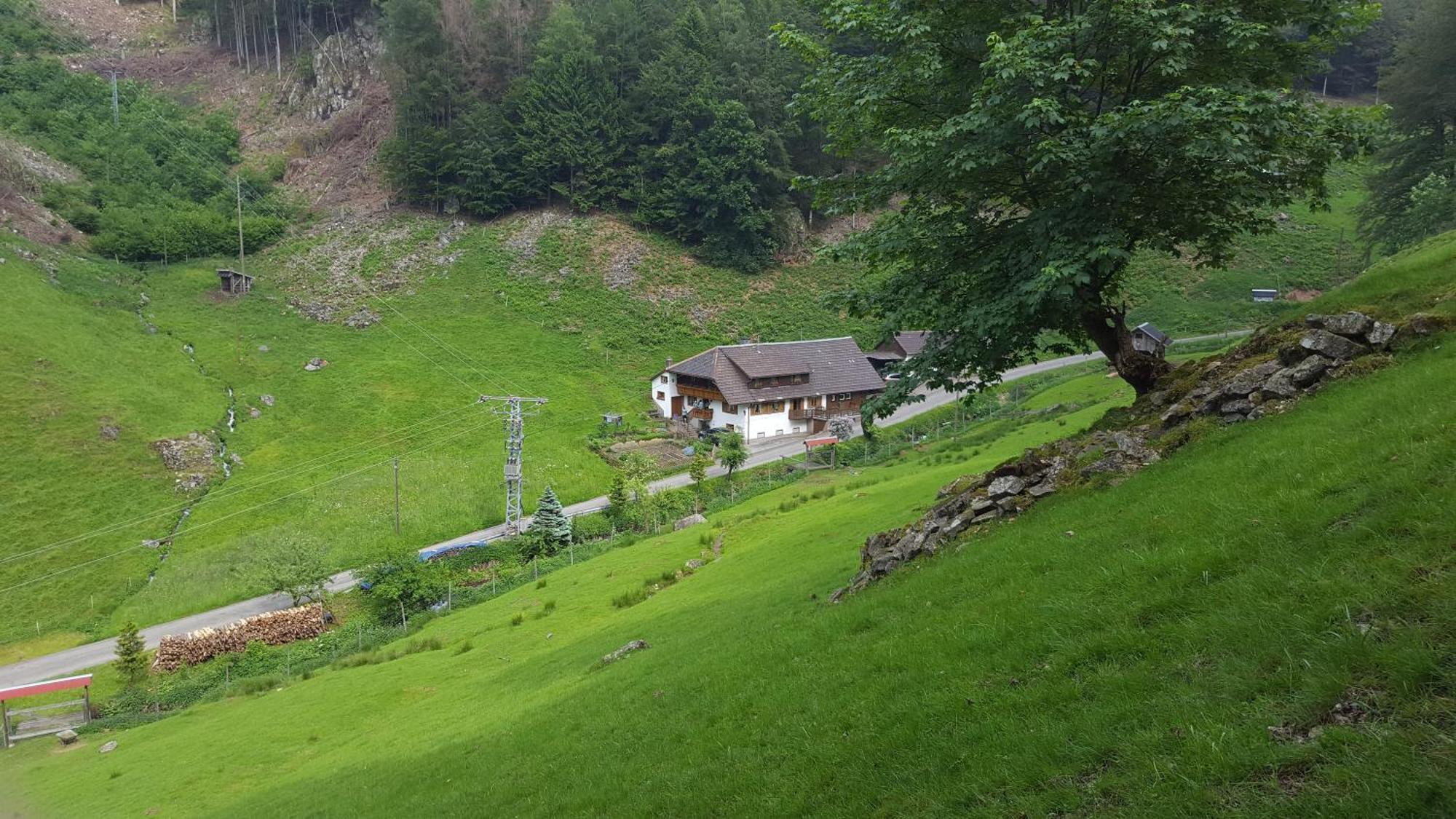 Bauernhaus Im Muenstertal Bagian luar foto