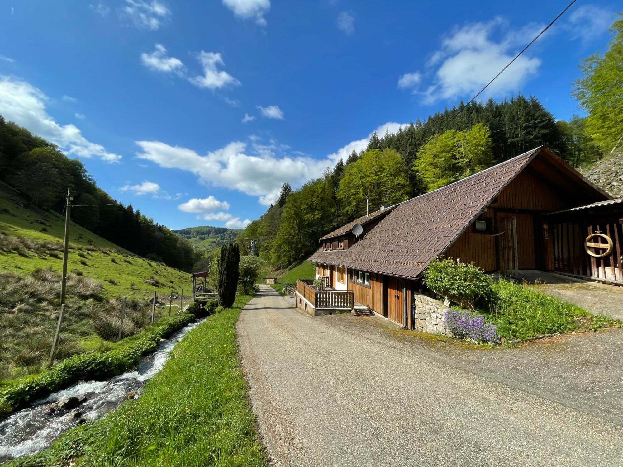 Bauernhaus Im Muenstertal Bagian luar foto