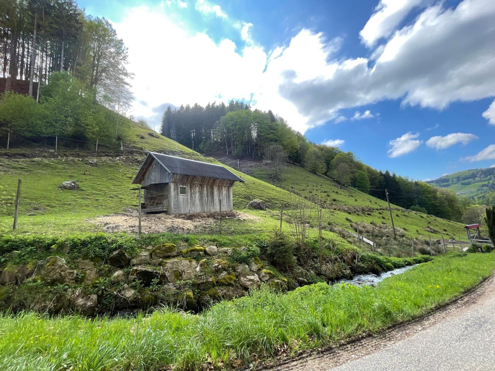 Bauernhaus Im Muenstertal Bagian luar foto