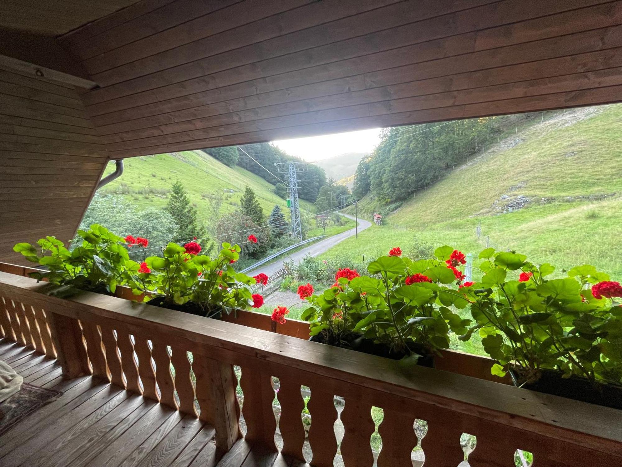 Bauernhaus Im Muenstertal Bagian luar foto