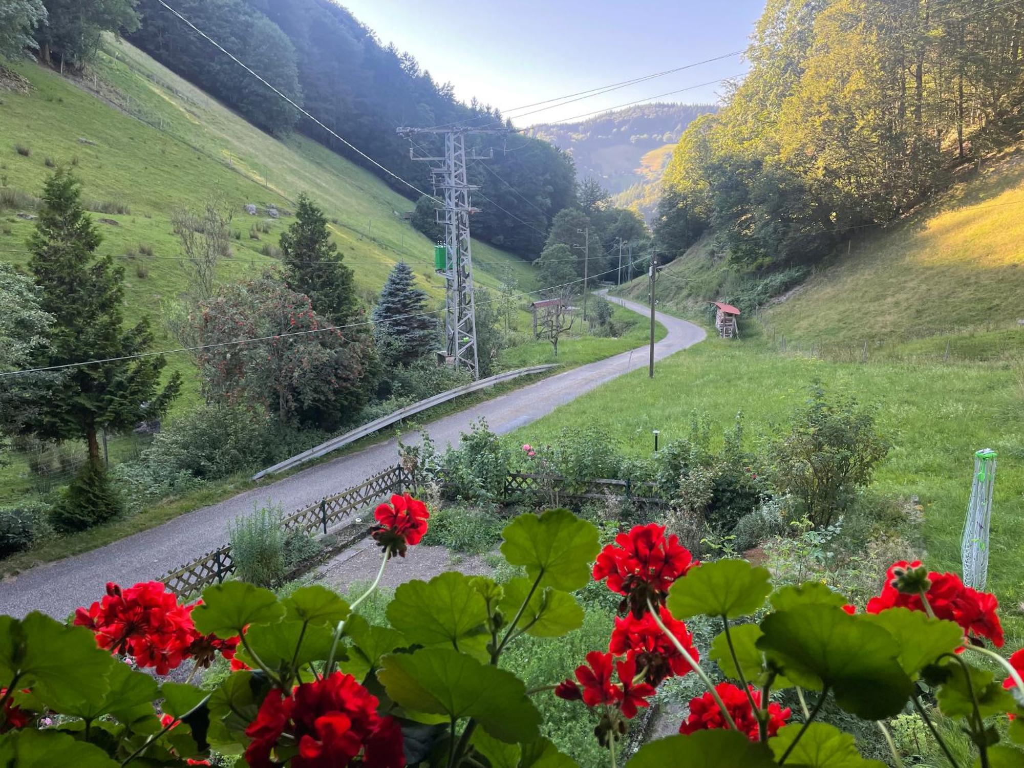 Bauernhaus Im Muenstertal Bagian luar foto