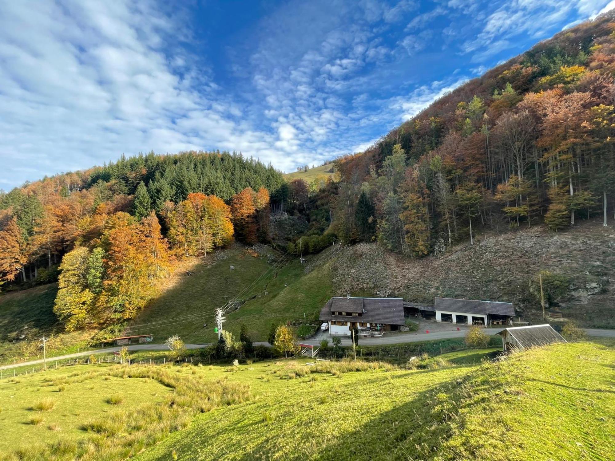 Bauernhaus Im Muenstertal Bagian luar foto